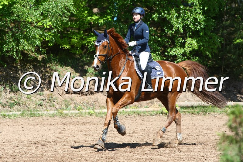 104M8456_Spring L.JPG